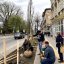 На вулиці Бандери у Львові висадили майже 90 дерев