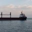 балкер FULMAR S здійснює першу перевозку зерна в рамках "зерного коридору"