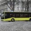 У Львові шукають перевізників для двох нових автобусних маршрутів