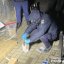 У Львові за розповсюдження наркотиків затримали 23-річного мешканця Київщини