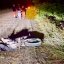На Львівщині 16-річний мотоцикліст врізався у дерево і загинув