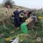На Львівщині внаслідок ДТП загинув тракторист