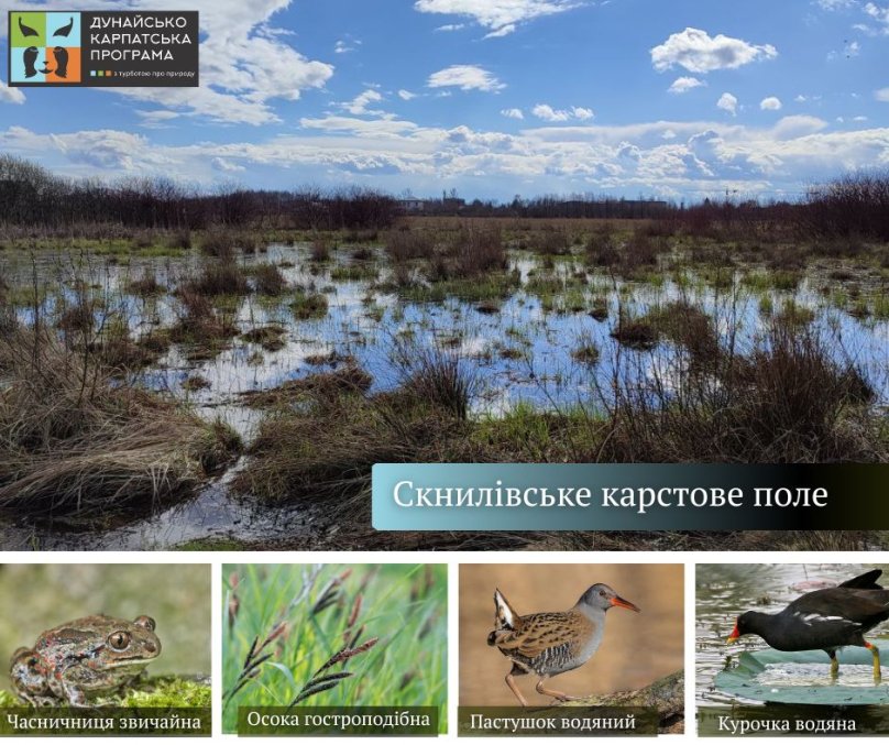 Біля Львова створять новий заказник “Скнилівське карстове поле” площею 10 га – 01