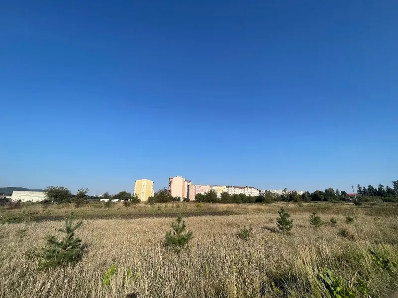 Ділянка, яку продавали на аукціоні