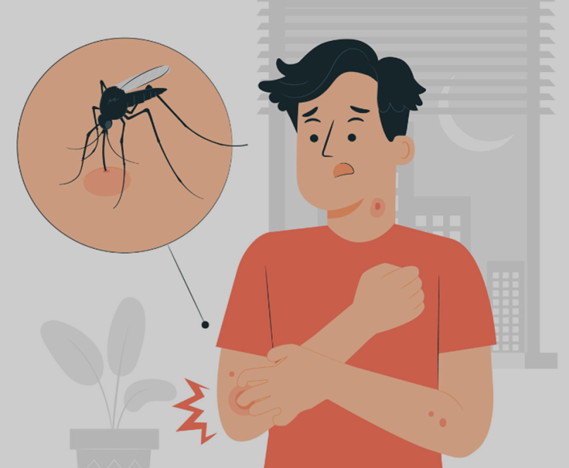 Все про захист від комарів: найефективніші засоби та рецепти спреїв, які можна приготувати вдома – 01
