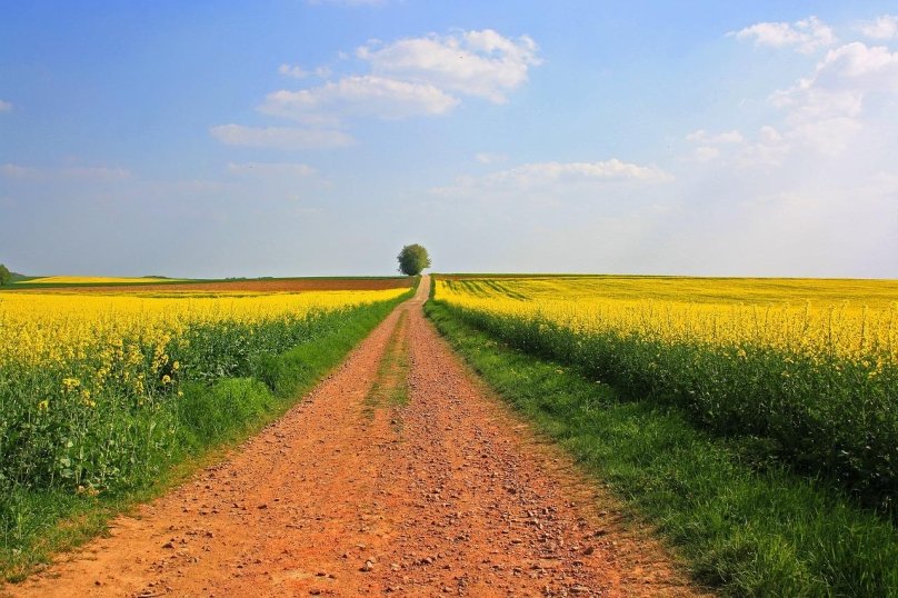 Фото ілюстративне з відкритих джерел