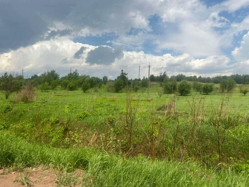 Земельна ділянка, яку продали через аукціон