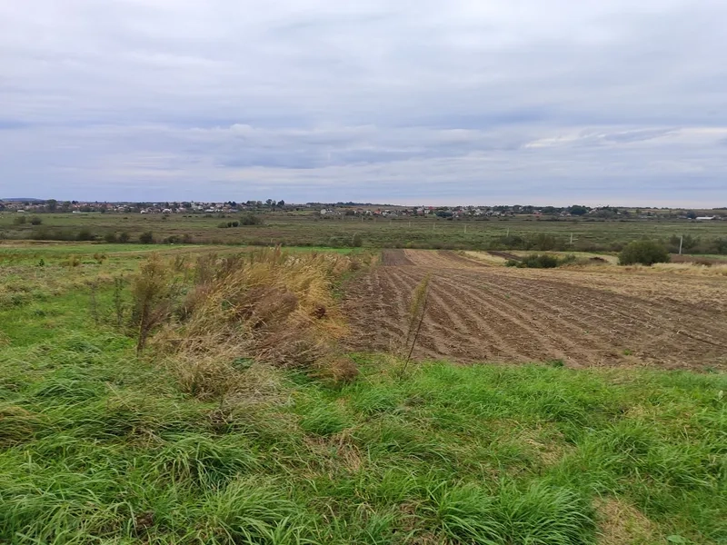 Міськрада вперше продала в оренду сільськогосподарську землю біля Львова – 01