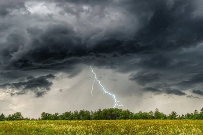 Фото з відкритих джерел