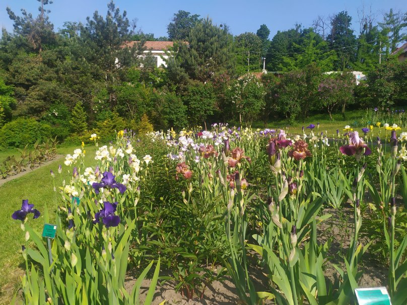 Фото зі сторінки  Ботанічного сад ЛНУ ім.І.Франка