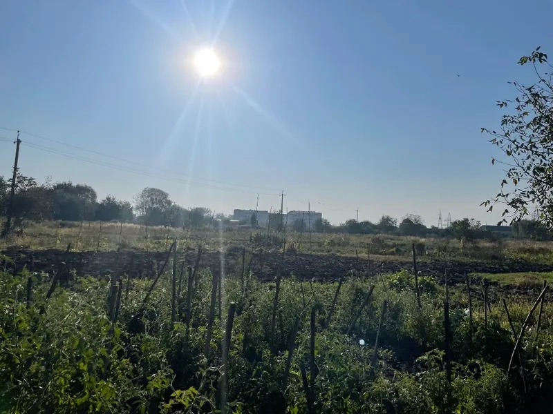 Земля, яку продали на аукціоні