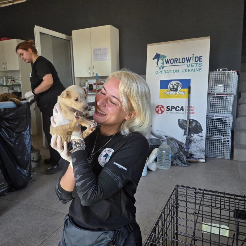 Фото: Worldwide Vets