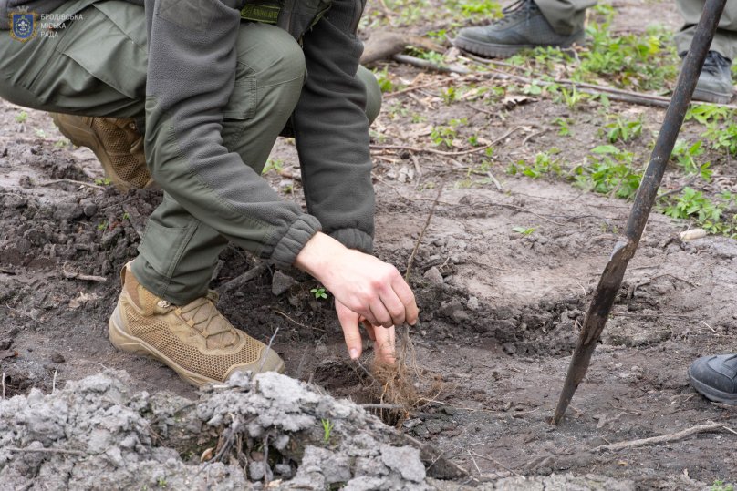Висадка дубів в межах ініціативи “Ліси пам’яті”