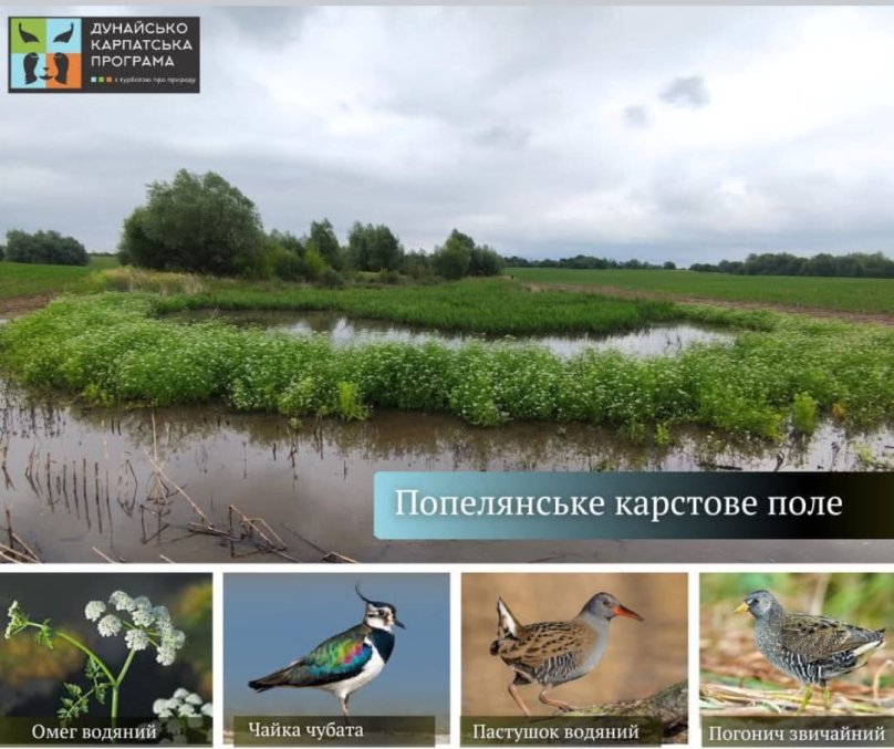 На Львівщині створять заказник “Попелянське карстове поле” площею 10 гектарів – 01