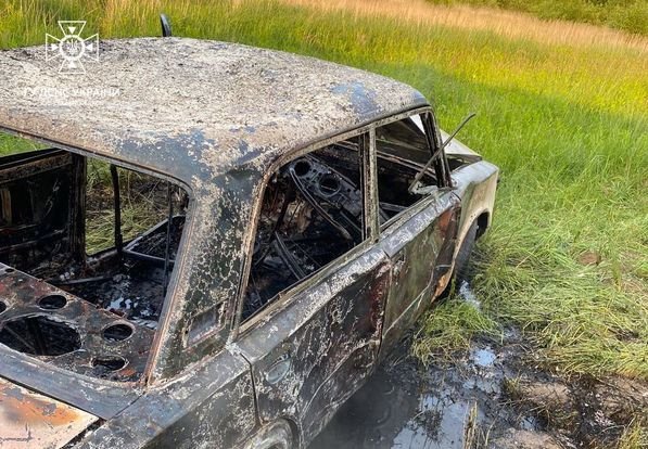 У Бориславі вщент згорів автомобіль: вогнеборці показали фото його залишків – 01