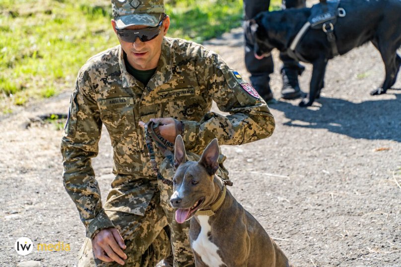 Собака Воля разом з господарем Віталієм Любенко. Фото Lviv.Media