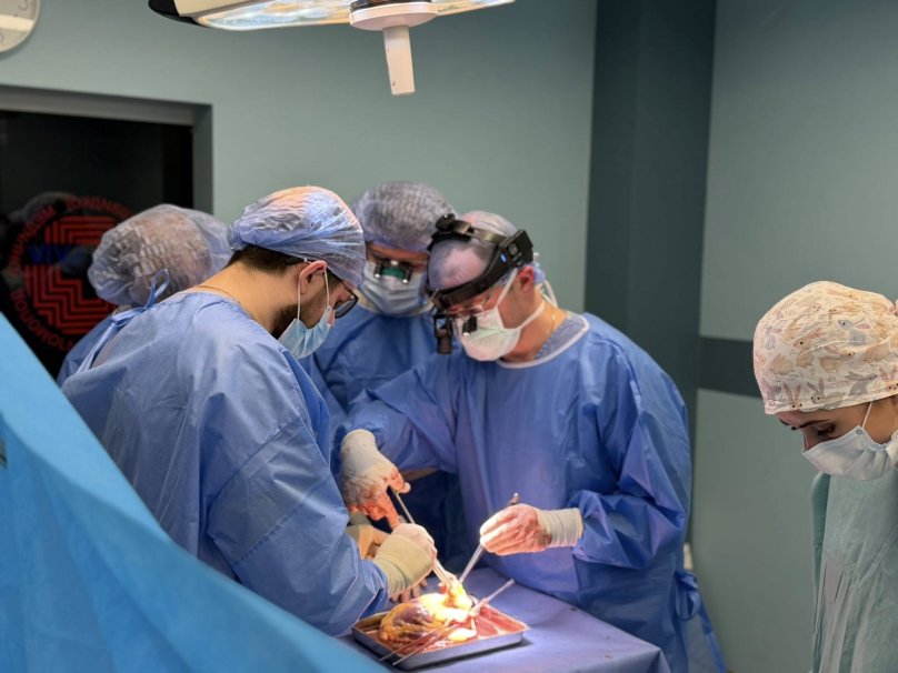 Трансплантація