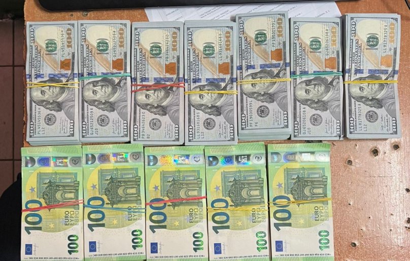 Волосся і мурахи: львівські митники показали, що намагалися провезти через кордон у 2025 році – 08