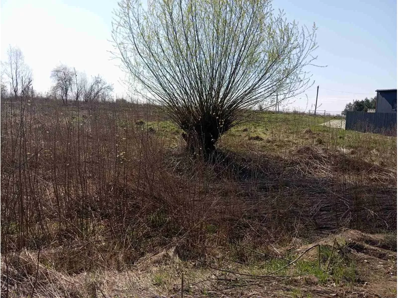 На Дрогобиччині за пів мільйона продали ділянку під промисловість – 01