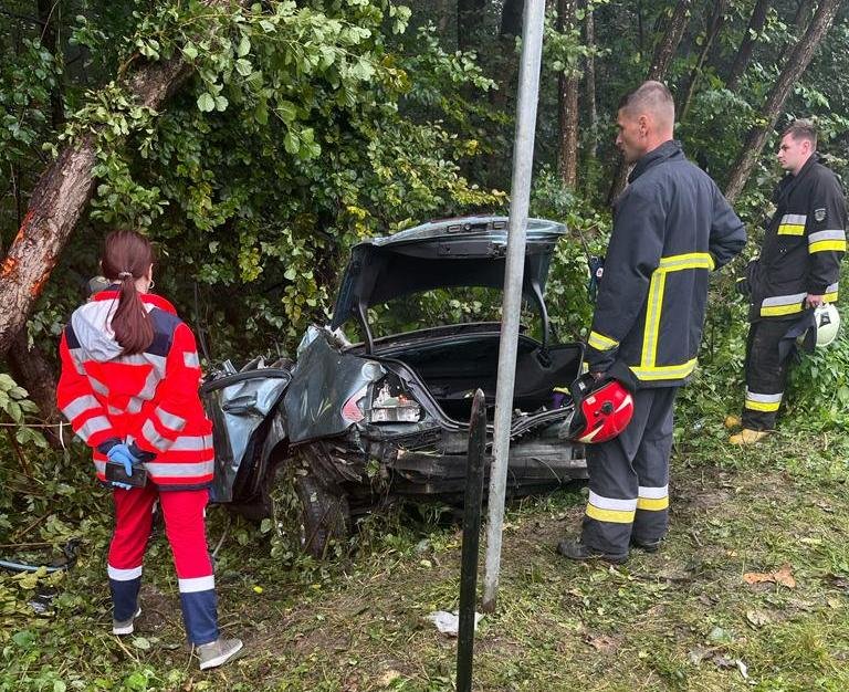 Фото: поліція Львівщини