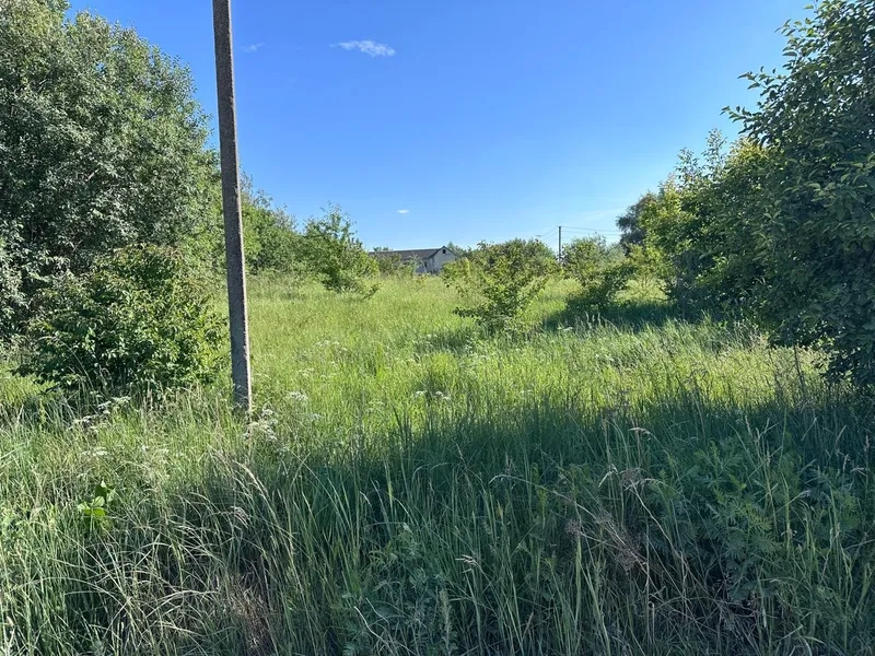 Фото ділянки