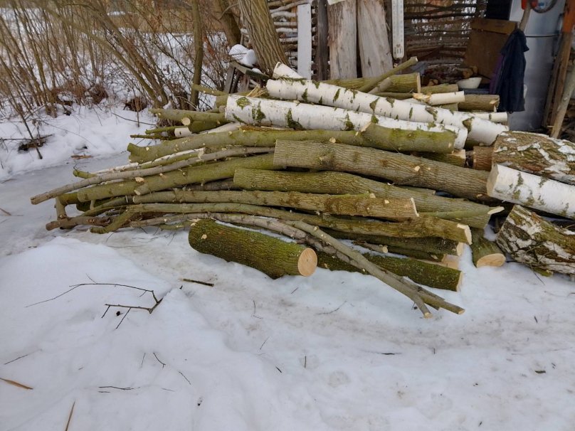 Звалище зрізаних