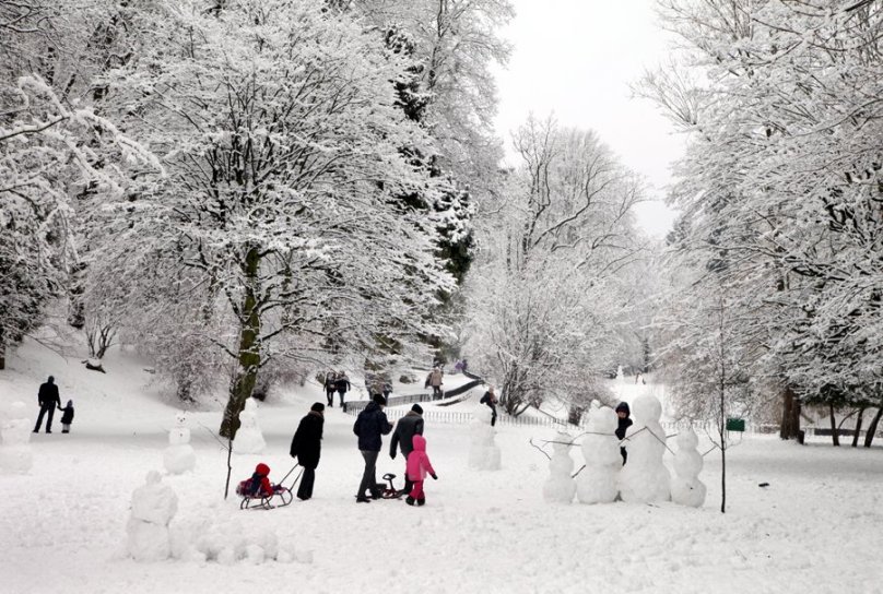 Стрийський парк