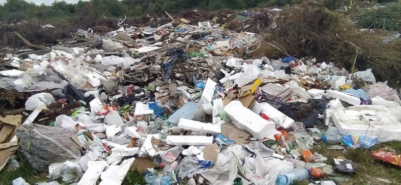 Незаконне сміттєзвалище у Пустомитах. Фото: Олексій Мінтій