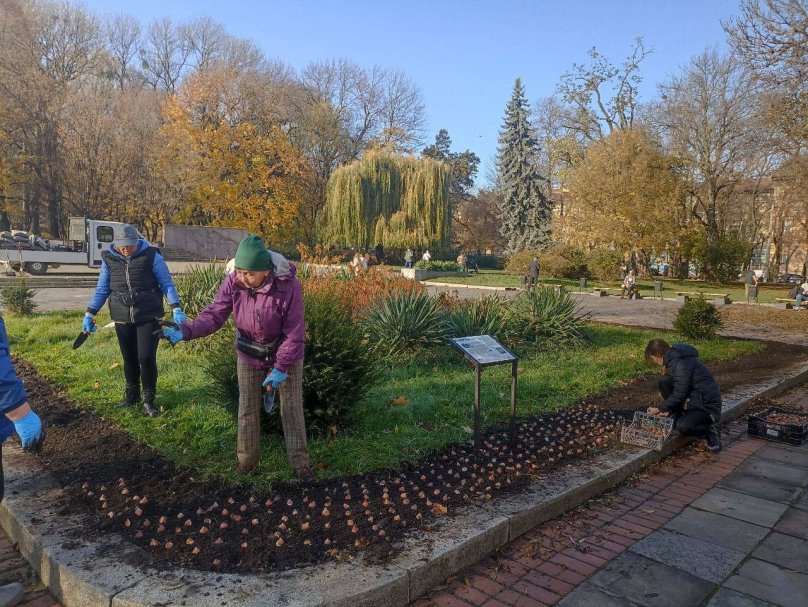 Фото: Львів.Містобудування