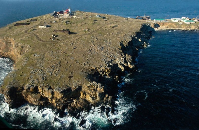 Фото з відкритих джерел