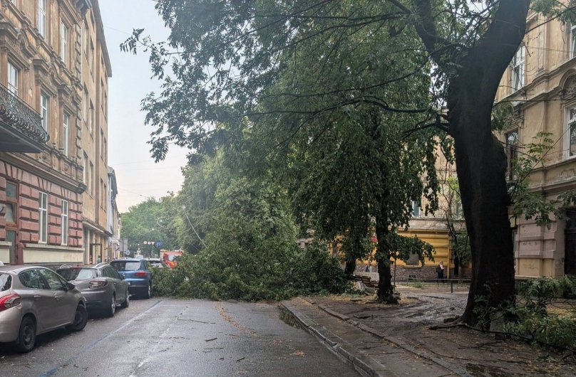 Вулиця Левицького, 9
