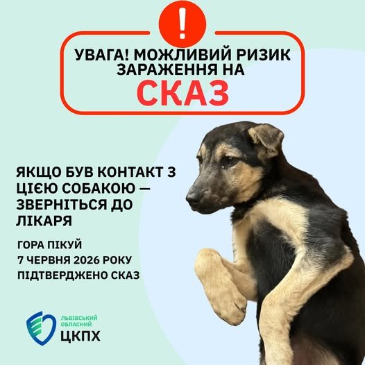 Туристи привезли з гори Пікуй на Львівщину собаку зі сказом – 01