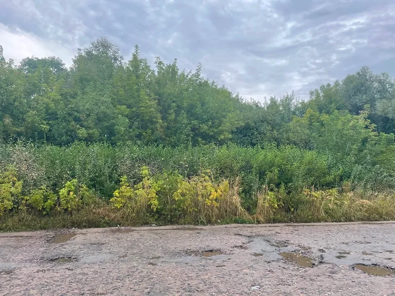 Ділянка, яку продали на аукціоні