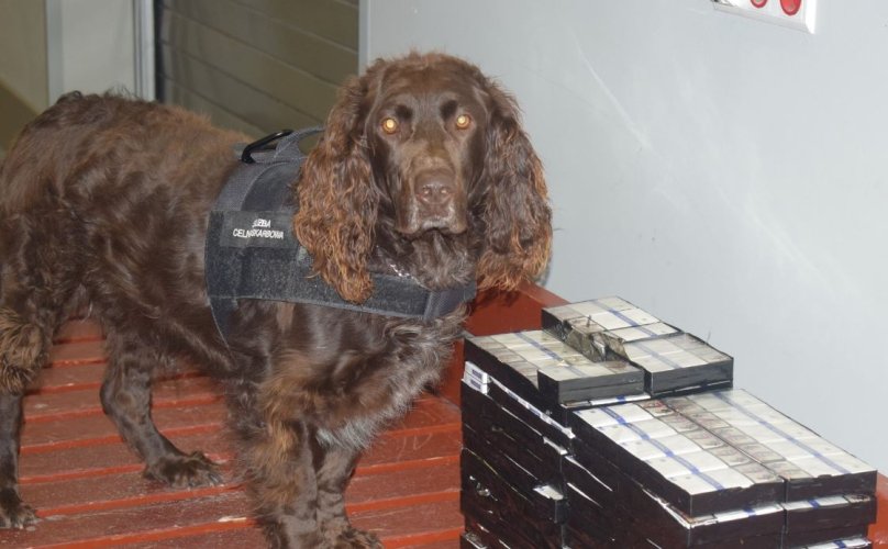 На кордоні з Львівщиною двоє водіїв отримали штрафи по 11 тисяч злотих за контрабанду сигарет – 01