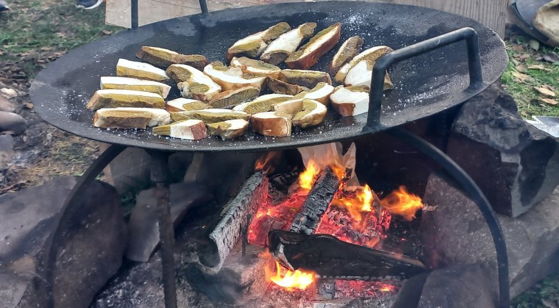 На вихідних у Сколе змагатимуться за звання найкращого грибника – 02