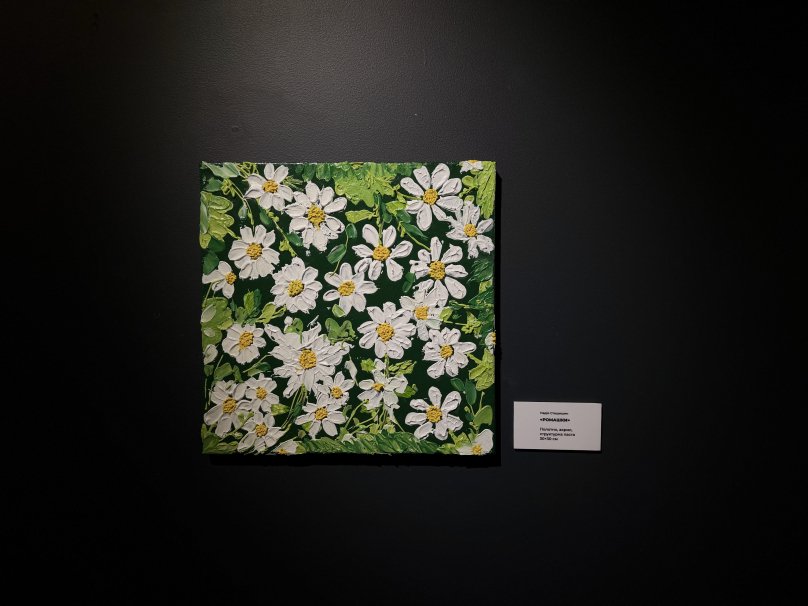 картина “Ромашки” Надії Стещишин