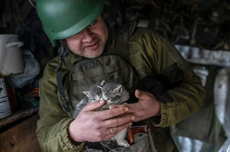 Український військовий на позивний «Ярик» тримає трьох із шести кошенят, які народилися в бункері 24-ї окремої механізованої бригади біля міста Нью-Йорк. Фото: Гайді Левін для The Washington Post