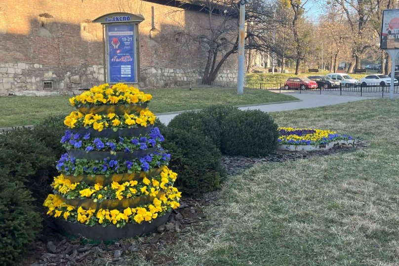 Квіти на площі Митній
