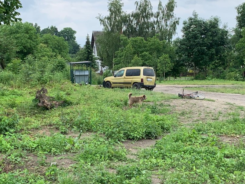 П’яний водій на Львівщині збив двох жінок  – 01