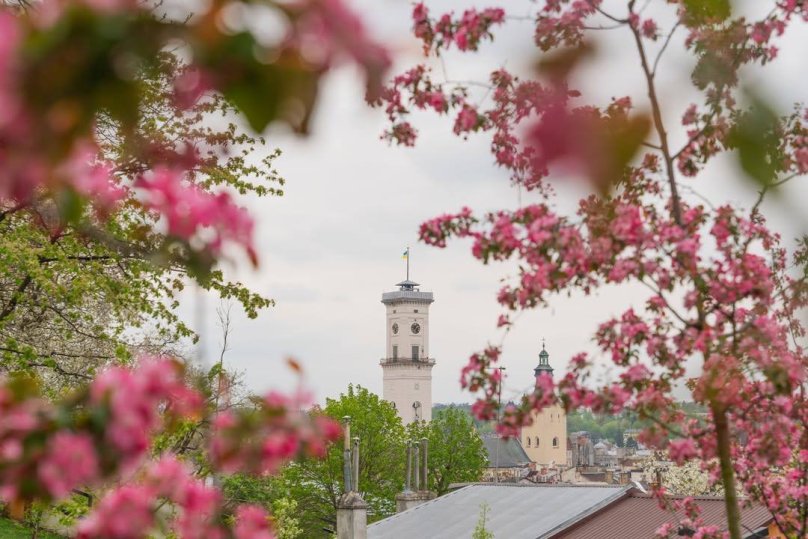 Львову – 770 років: коли День міста та які події запланували – 01