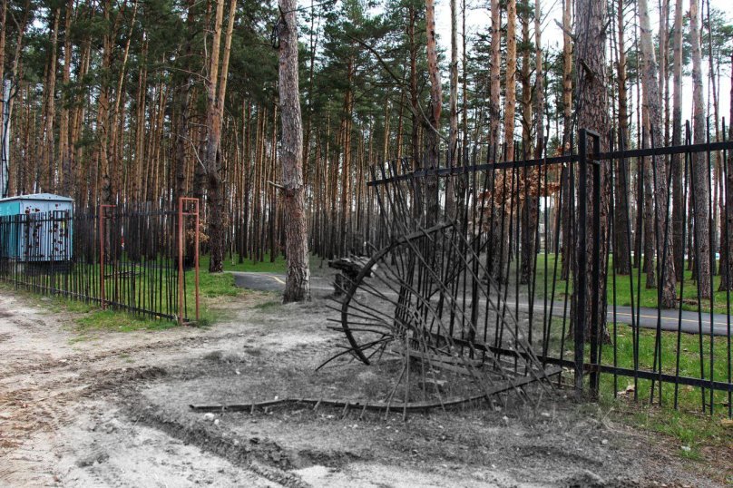 Ворота у парк Гостомеля Фото:Вікторія Кульженко