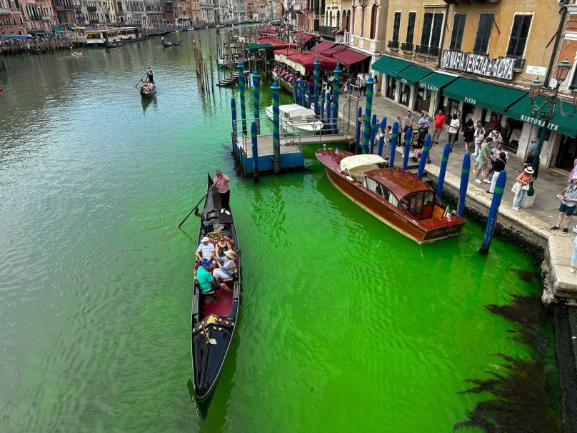 Вода у каналі стала  зеленою Фото: CNN