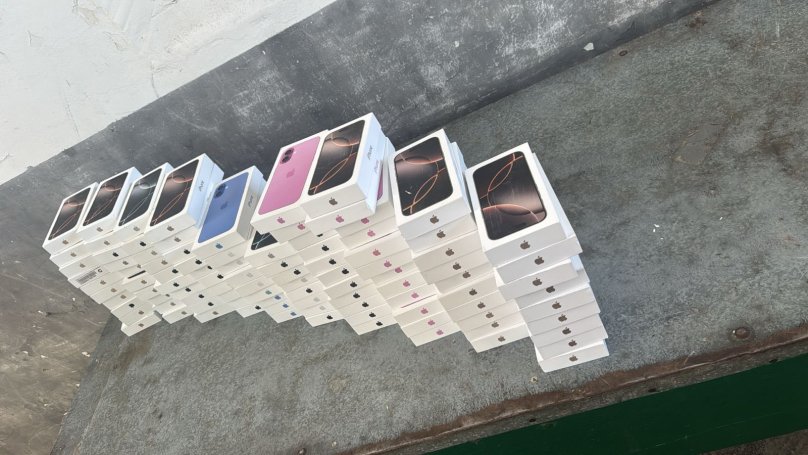 Волосся і мурахи: львівські митники показали, що намагалися провезти через кордон у 2025 році – 01