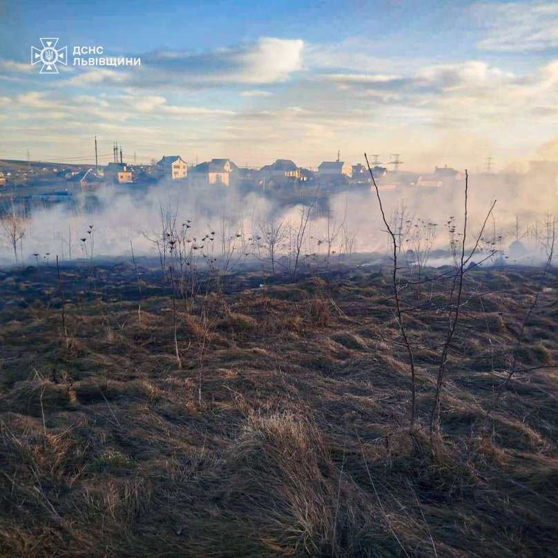 Понад 2 гектари сухої трави згоріло за добу на Львівщині – 02