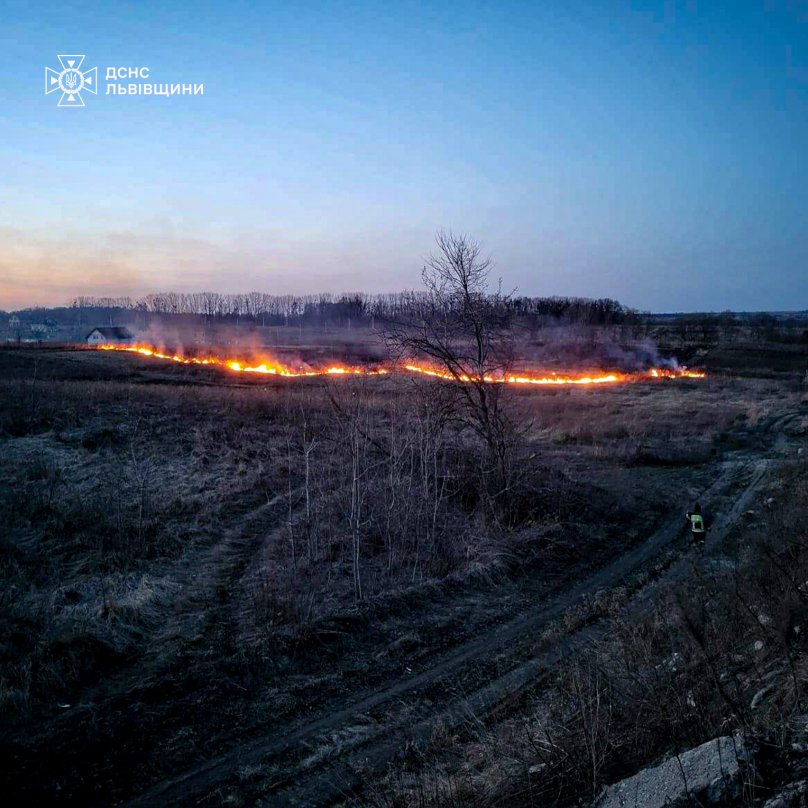 Понад 2 гектари сухої трави згоріло за добу на Львівщині – 01
