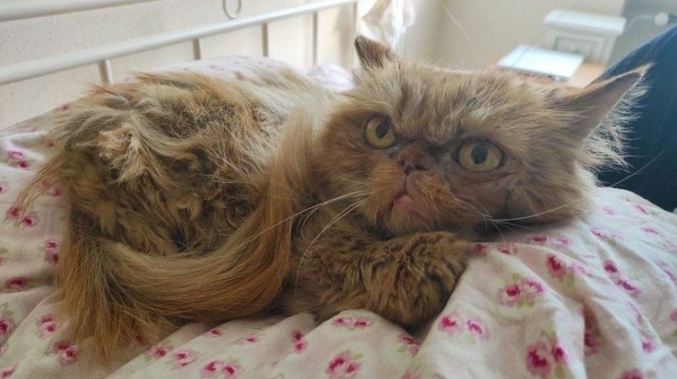 Фото: ЗооПатруль