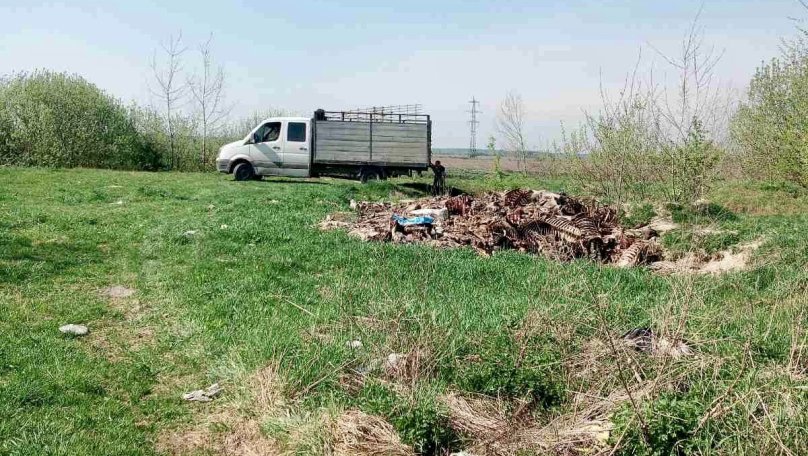 Фото: Камʼянка-Бузька міська рада 