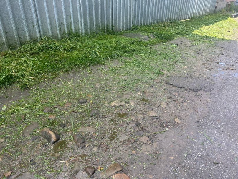 Покіс газону у Львові