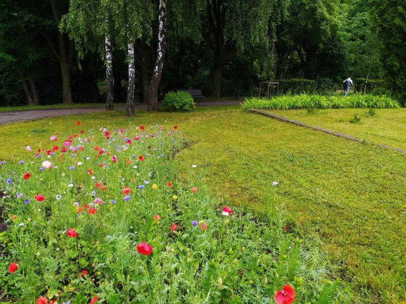 Фото зі сторінки Львівської міської ради