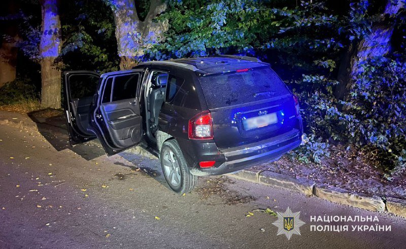 У Брюховичах п’яна водійка протаранила шлагбаум та врізалась у дерево – 01